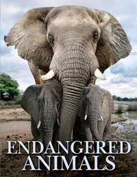 Abbildung von: Endangered Animals - Amber Books