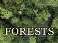 Cover: Forests - Amber Books