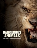 Cover: Dangerous Animals - Amber Books