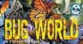 Cover: Bug World - Cider Mill Press Book Publishers LLC