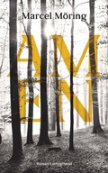 Cover: AMEN - Luchterhand Literaturverlag