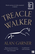 Cover: Treacle Walker - Fourth Estate Ltd