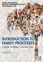 Cover: Introduction to Family Processes - Routledge