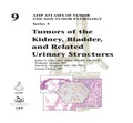 Cover: Tumors of the Kidney, Bladder, and Related Urinary Structures - American Registry of Pathology