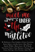 Cover: Meet Me Under the Mistletoe - Amber Shah