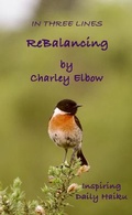 Cover: ReBalancing: In Three Lines - Kindle Direct Publishing