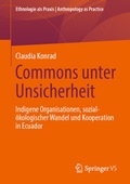 Cover: Commons unter Unsicherheit - Springer VS