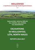 Cover: Excavations at Meillionydd / Excavations in Meillionydd, Llyn, North Wales - epubli