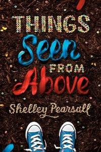 Enlarge image Cover: Things Seen from Above - Turtleback