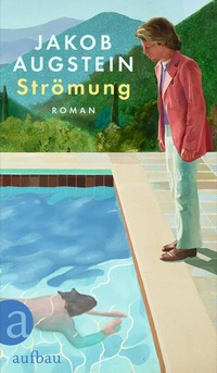 Abbildung von: Strömung - Aufbau