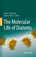 Bild: The Molecular Life of Diatoms - Springer