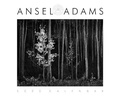 Cover: Ansel Adams 2023 Wall Calendar - Little, Brown & Company