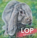 Cover: Lop Felt Worried - Finding Space