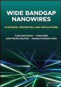 Cover: Wide Bandgap Nanowires - Wiley