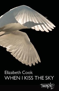 Enlarge image Cover: When I Kiss The Sky - Worple Press