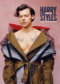 Cover: Harry Styles 2022 - Red Rock Publishing