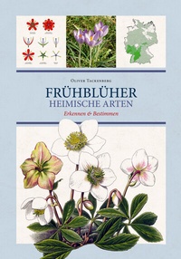 Abbildung von: Frühblüher. Heimische Arten. - Favoritenpresse GmbH