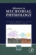 Cover: Advances in Microbial Physiology: Volume 80 - Academic Press