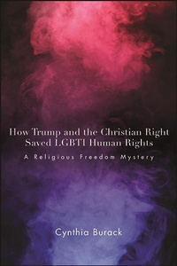 Enlarge image Cover: How Trump and the Christian Right Saved LGBTI Human Rights - De Gruyter
