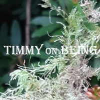 Abbildung von: Timmy On Being - Lulu.com