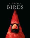 Cover: Birds - Abrams