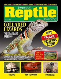 Abbildung von: Practical Reptile Keeping - October 2021 - Lulu.com