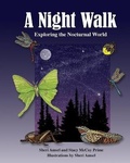 Cover: A Night Walk - Am Ink Publishing