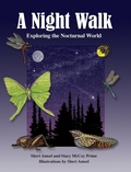 Cover: A Night Walk - Am Ink Publishing