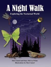 Enlarge image Cover: A Night Walk - Am Ink Publishing