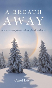 Enlarge image Cover: A Breath Away - Palmetto Publishing