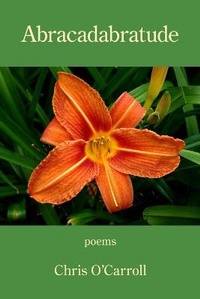 Enlarge image Cover: Abracadabratude - Kelsay Books