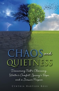 Abbildung von: Chaos and Quietness - Xulon Press