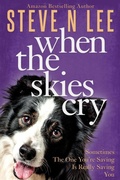 Cover: When The Skies Cry - Blue Zoo