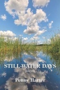 Cover: Still-Water Days - Kelsay Books