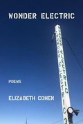 Cover: Wonder Electric - Kelsay Books