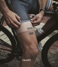Cover: Auf Asphalt - Callwey
