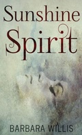 Cover: Sunshine Spirit - Next Chapter