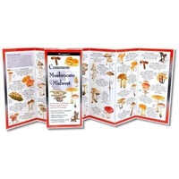 Enlarge image Cover: Common Mushrooms of the Midwest - Earth Sky + Water