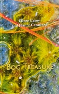 Cover: Bog Treasure - Arlen House