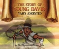 Cover: The Story of Young David - Hadassah's Crown Publishing