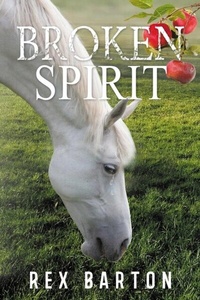 Abbildung von: Broken Spirit - Hawk Tales Publishing, LLC