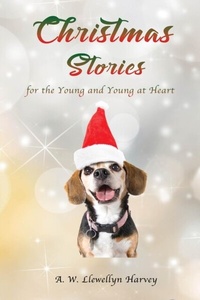 Abbildung von: Christmas Stories for the Young and Young at Heart - Goldtouch Press, LLC