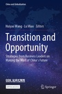 Cover: Transition and Opportunity - Springer