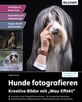 Cover: Hunde fotografieren - Kreative Bilder mit "Wau-Effekt" - Bildner Verlag