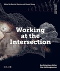 Cover: Design Studio Vol. 4: Working at the Intersection - RIBA Publishing