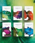 Cover: Biblia Inmersion - Tyndale House Publishers