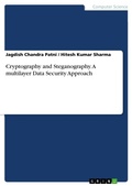 Cover: Cryptography and Steganography. A multilayer Data Security Approach - GRIN Verlag
