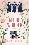 Cover: Kleine Wunder - Ullstein