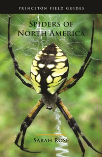Abbildung von: Spiders of North America - Princeton University Press