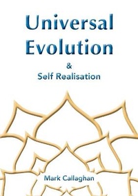 Enlarge image Cover: Universal Evolution - Tatterdemalion Blue